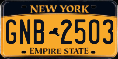 NY license plate GNB2503