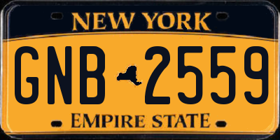 NY license plate GNB2559