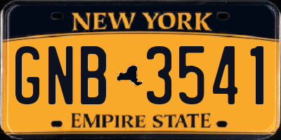 NY license plate GNB3541