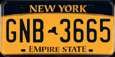 NY license plate GNB3665