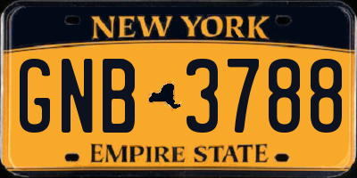 NY license plate GNB3788