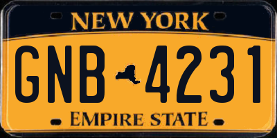 NY license plate GNB4231