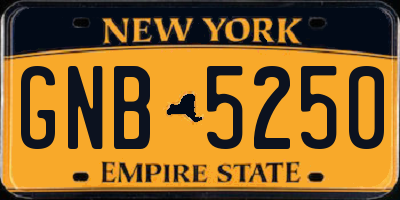 NY license plate GNB5250