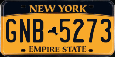 NY license plate GNB5273