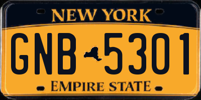 NY license plate GNB5301