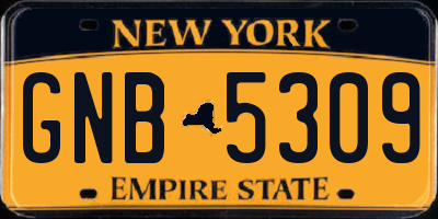NY license plate GNB5309