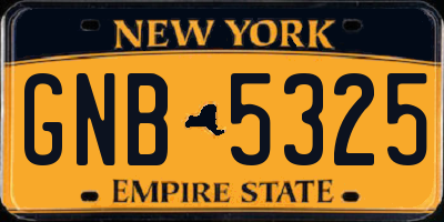 NY license plate GNB5325