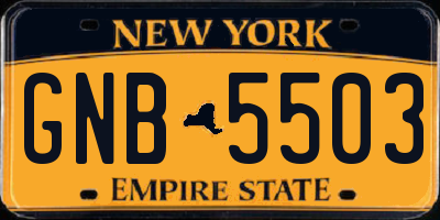 NY license plate GNB5503