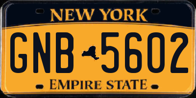 NY license plate GNB5602