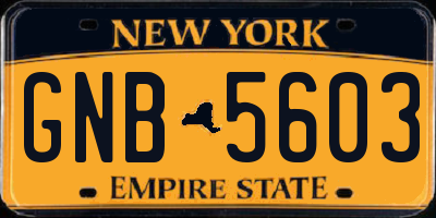 NY license plate GNB5603