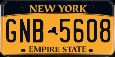 NY license plate GNB5608