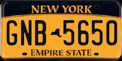 NY license plate GNB5650