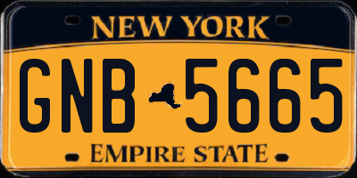 NY license plate GNB5665