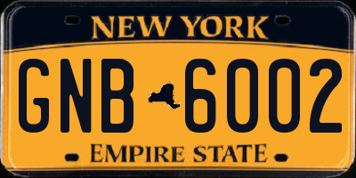 NY license plate GNB6002