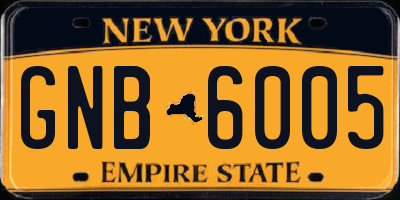 NY license plate GNB6005
