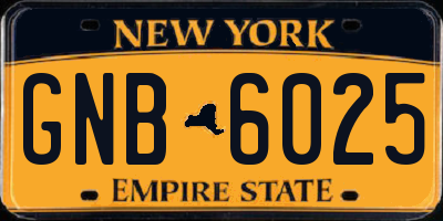 NY license plate GNB6025
