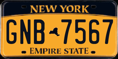 NY license plate GNB7567