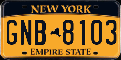 NY license plate GNB8103
