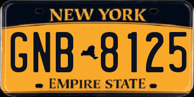 NY license plate GNB8125