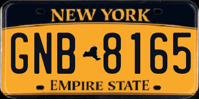 NY license plate GNB8165