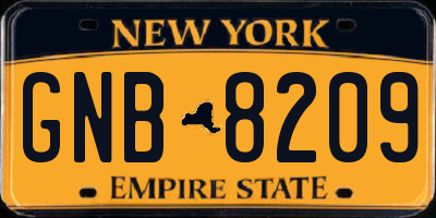 NY license plate GNB8209
