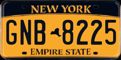 NY license plate GNB8225