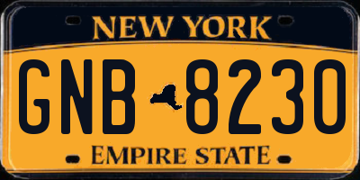 NY license plate GNB8230