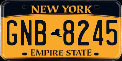 NY license plate GNB8245
