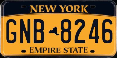 NY license plate GNB8246