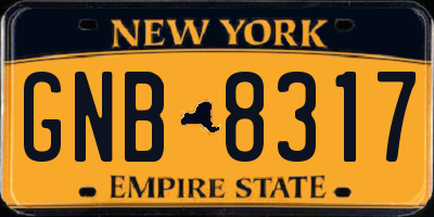 NY license plate GNB8317