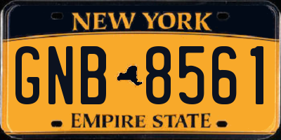 NY license plate GNB8561