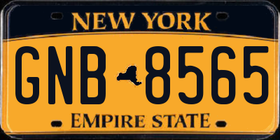 NY license plate GNB8565