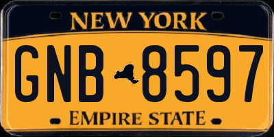 NY license plate GNB8597