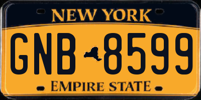 NY license plate GNB8599