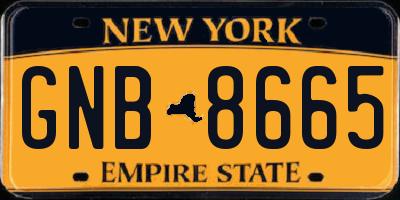 NY license plate GNB8665