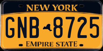 NY license plate GNB8725