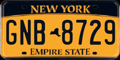 NY license plate GNB8729