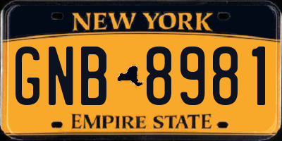 NY license plate GNB8981