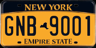 NY license plate GNB9001