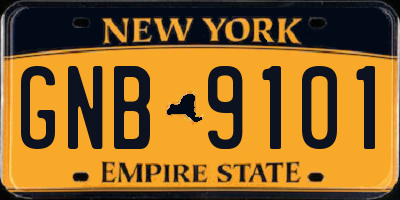 NY license plate GNB9101