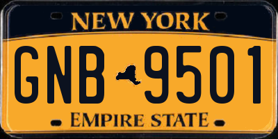 NY license plate GNB9501