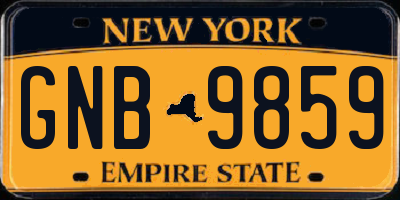 NY license plate GNB9859