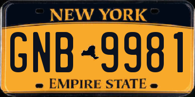 NY license plate GNB9981