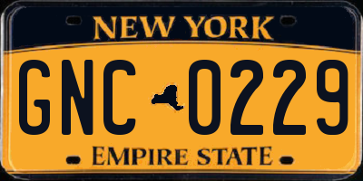 NY license plate GNC0229