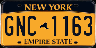NY license plate GNC1163
