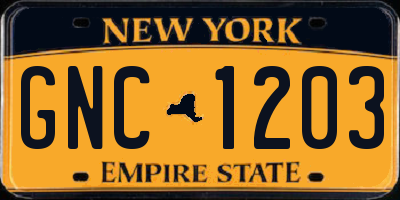 NY license plate GNC1203