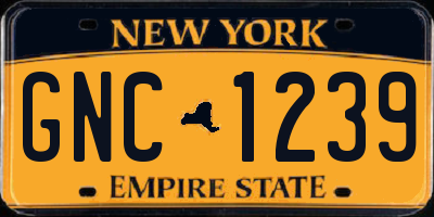 NY license plate GNC1239