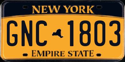 NY license plate GNC1803