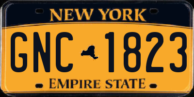 NY license plate GNC1823