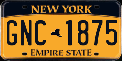 NY license plate GNC1875